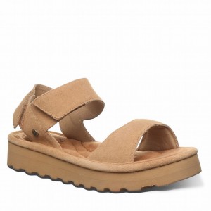 Bearpaw Crest Sandalen Dames Bruin | GXG7096KL