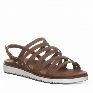 Bearpaw Crete Sandalen Dames Bruin | YJZ8049DL