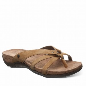 Bearpaw Fawn Sandalen Dames Bruin | KAY8390UL