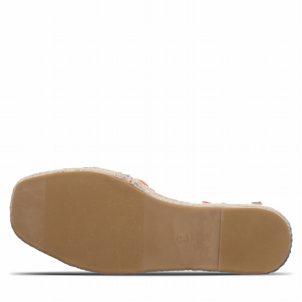 Bearpaw Affogato Sandalen Dames Roze | CAI2322VY