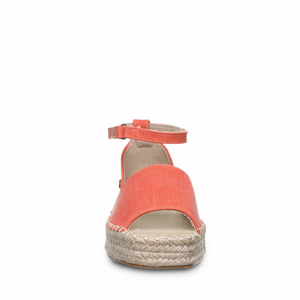 Bearpaw Affogato Sandalen Dames Roze | CAI2322VY