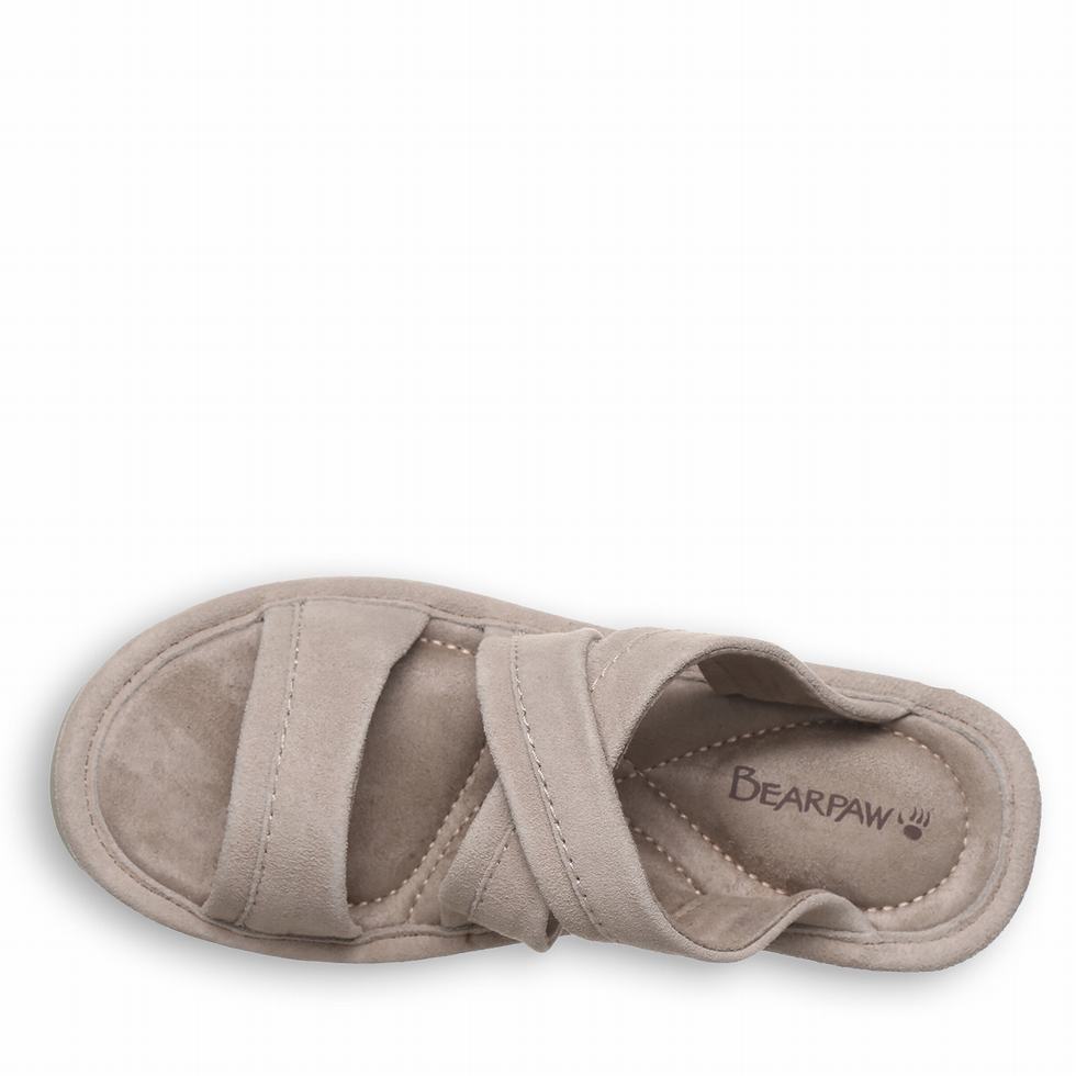 Bearpaw Altitude Sandalen Dames Bruin | PPY7548XJ