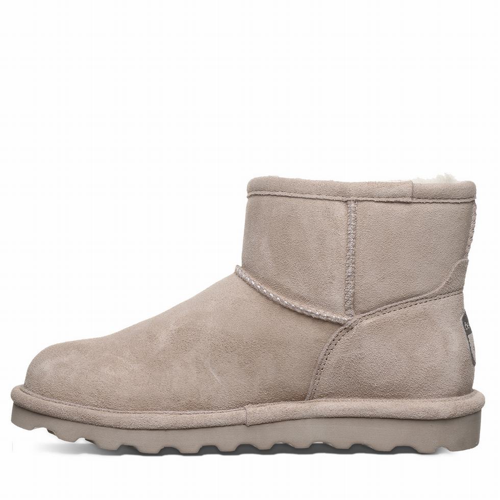 Bearpaw Alyssa Laarzen Dames Bruin | POE5857PU