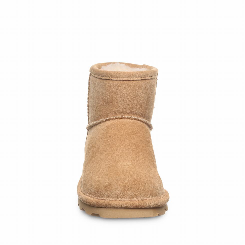 Bearpaw Alyssa Laarzen Dames Bruin | RKP723UW