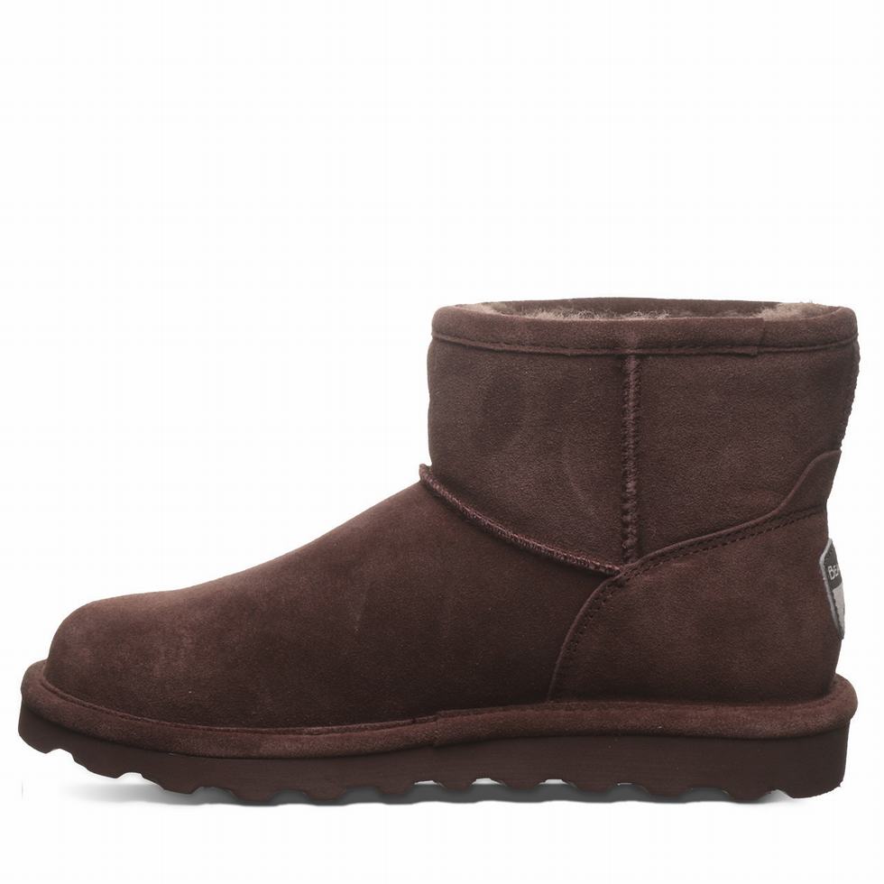 Bearpaw Alyssa Laarzen Dames Bruin | YZE8881FH