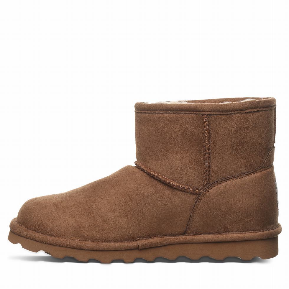 Bearpaw Alyssa Vegan Laarzen Dames Bruin | ELR488NP