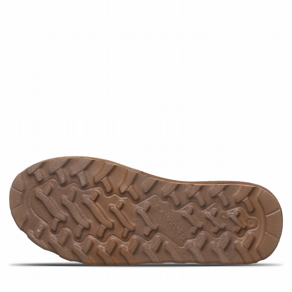 Bearpaw Alyssa Vegan Laarzen Dames Bruin | ELR488NP