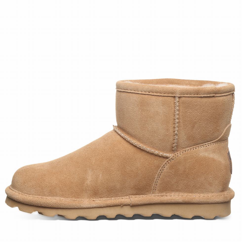 Bearpaw Alyssa Wide Laarzen Dames Bruin | JDT1723RU