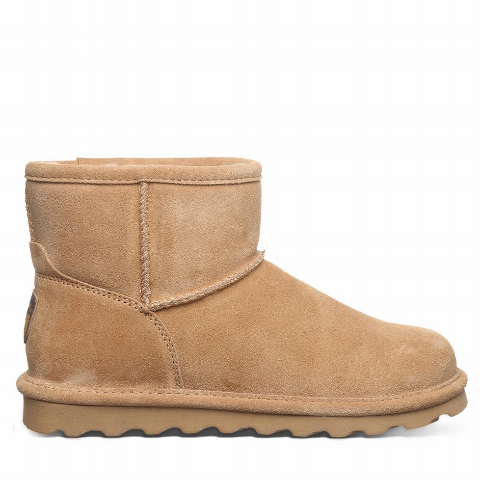 Bearpaw Alyssa Wide Laarzen Dames Bruin | JDT1723RU