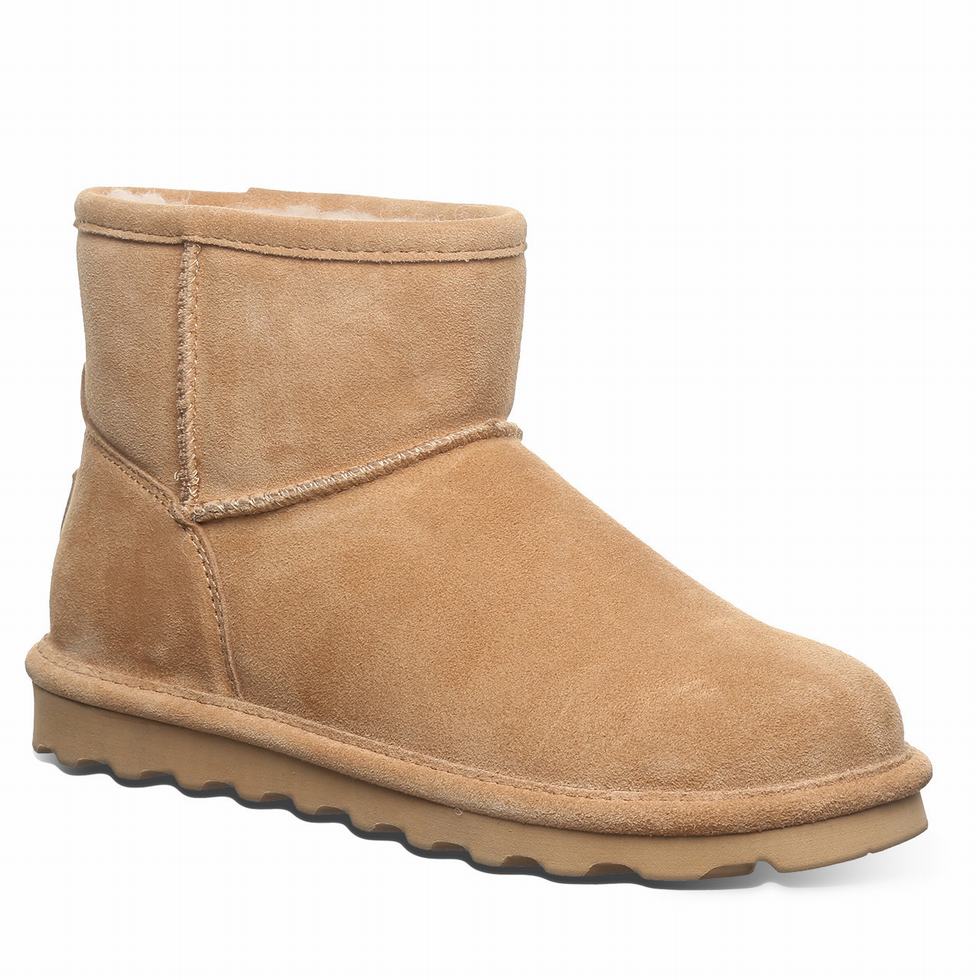 Bearpaw Alyssa Wide Laarzen Dames Bruin | JDT1723RU