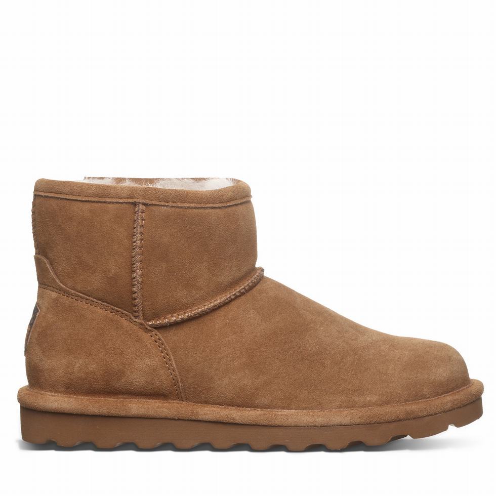 Bearpaw Alyssa Wide Laarzen Dames Bruin | XCI4424YI