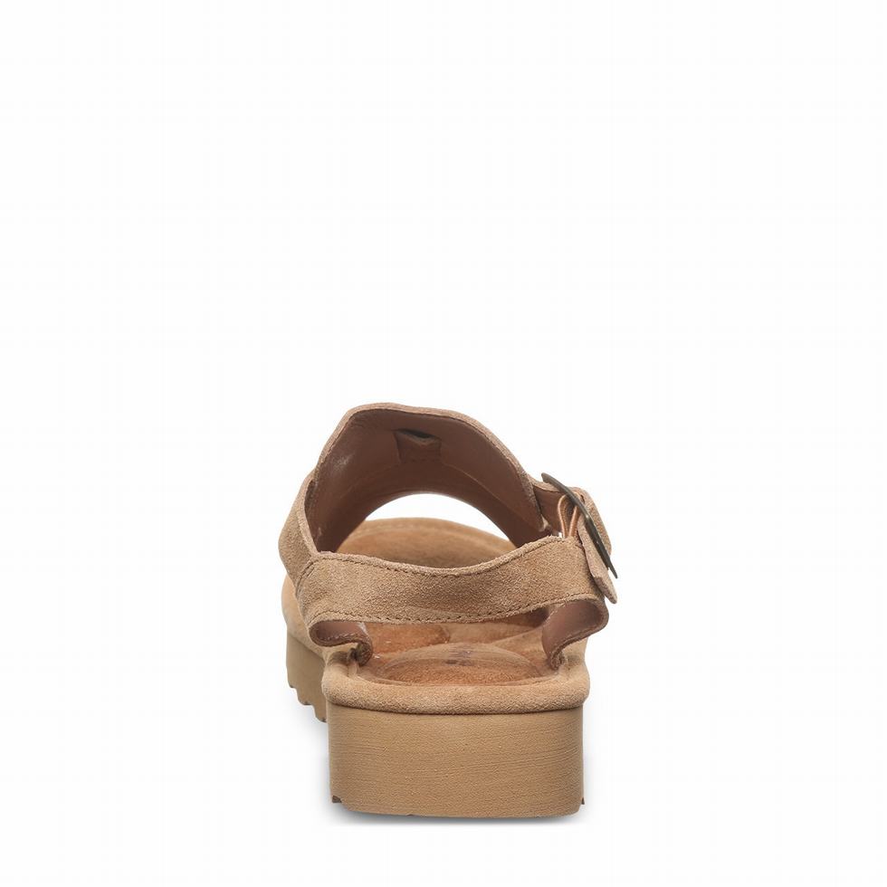 Bearpaw Ascend Sandalen Dames Bruin | LTC6186QO