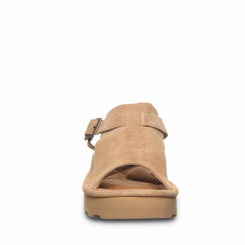 Bearpaw Ascend Sandalen Dames Bruin | LTC6186QO