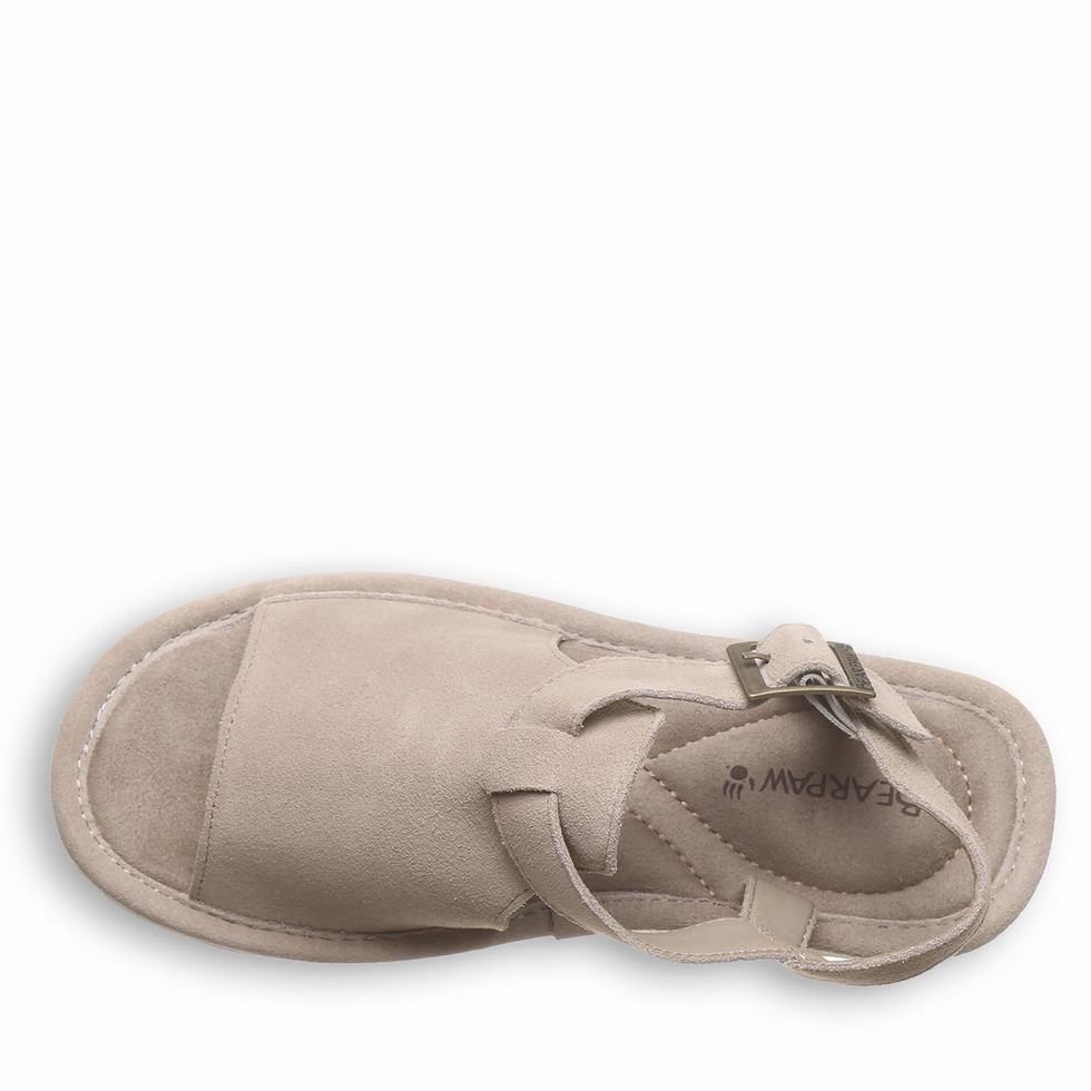 Bearpaw Ascend Sandalen Dames Grijs | KMR1088AP