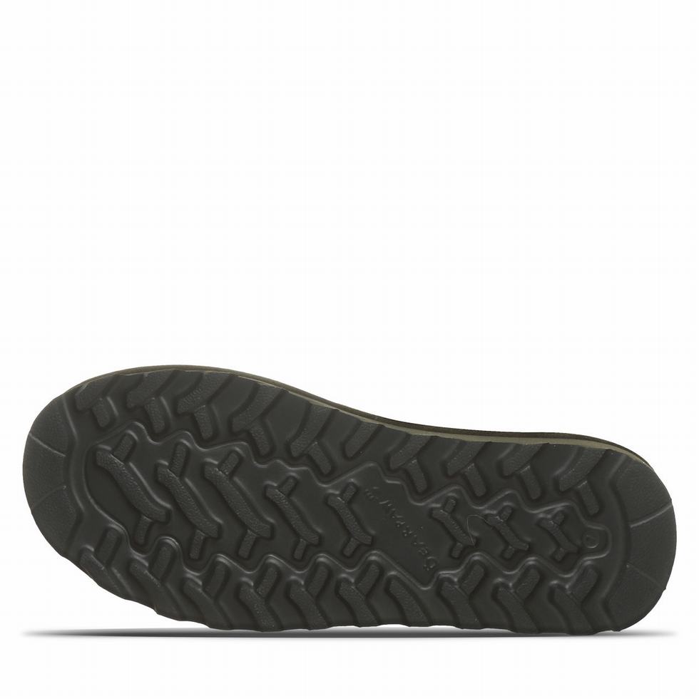 Bearpaw Aurelia Laarzen Dames Groen | DLJ8183KK