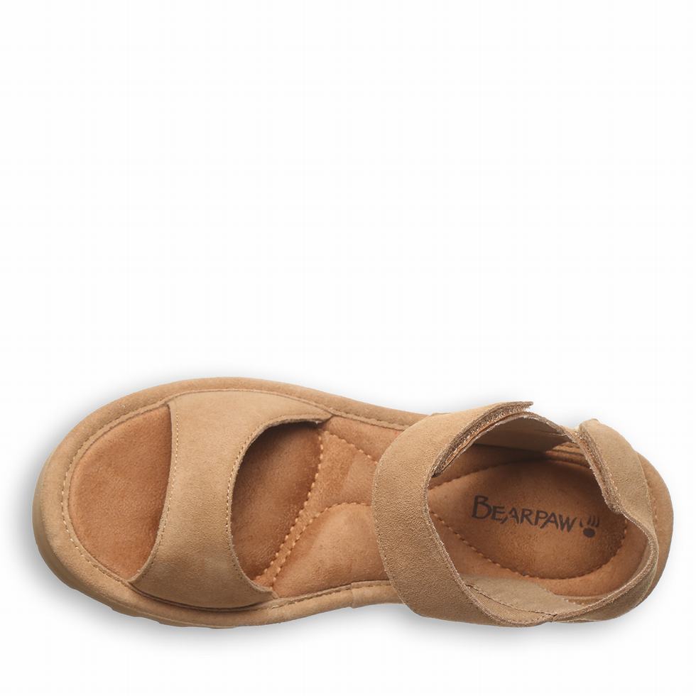 Bearpaw Crest Sandalen Dames Bruin | GXG7096KL