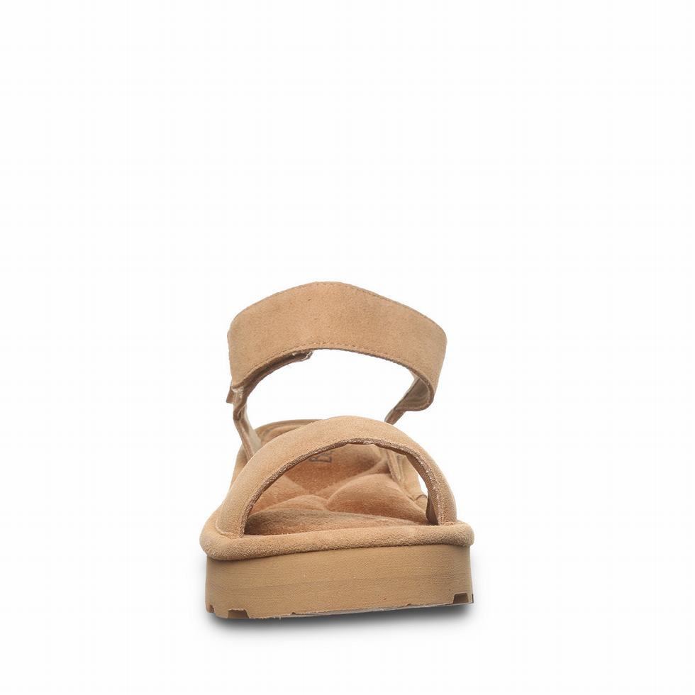 Bearpaw Crest Sandalen Dames Bruin | GXG7096KL