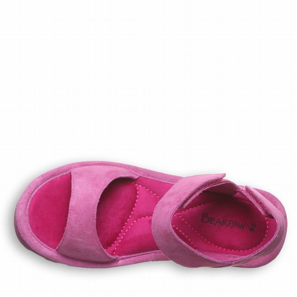 Bearpaw Crest Sandalen Dames Paars | IKM8612VV