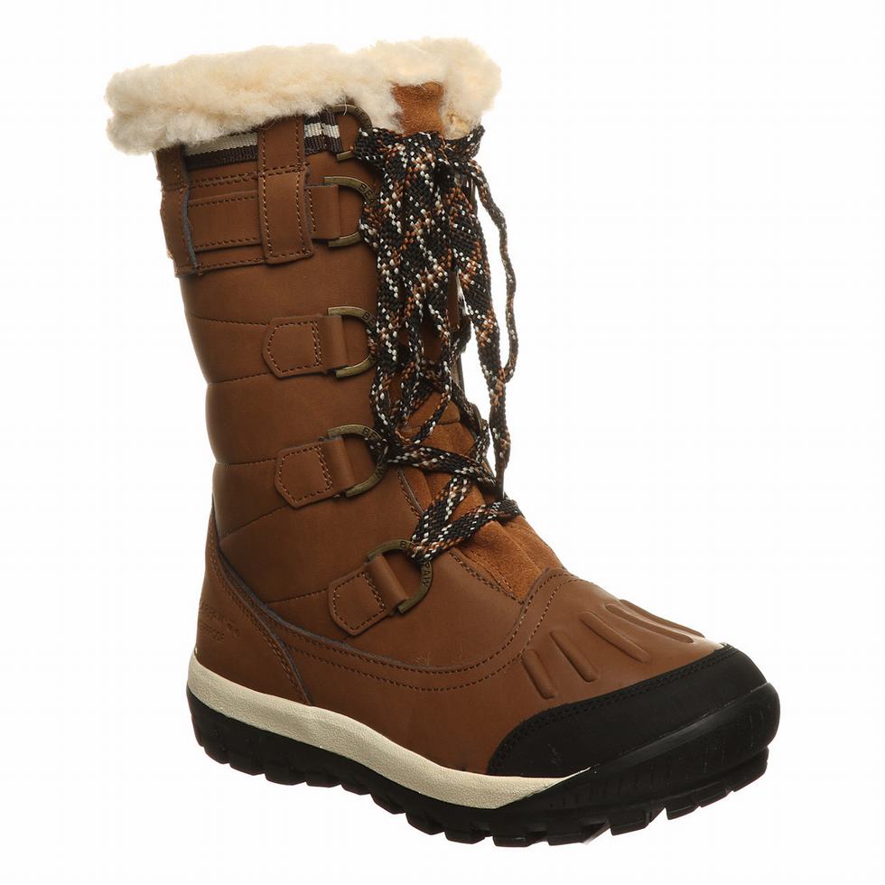 Bearpaw Desdemona Wandellaarzen Dames Bruin | ITH8614RT