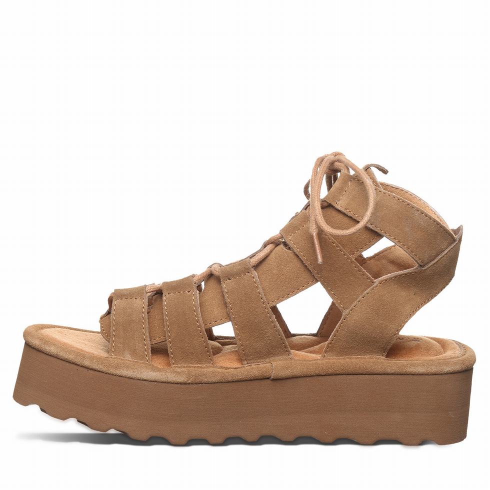 Bearpaw Elevation Sandalen Dames Bruin | LAM584GH