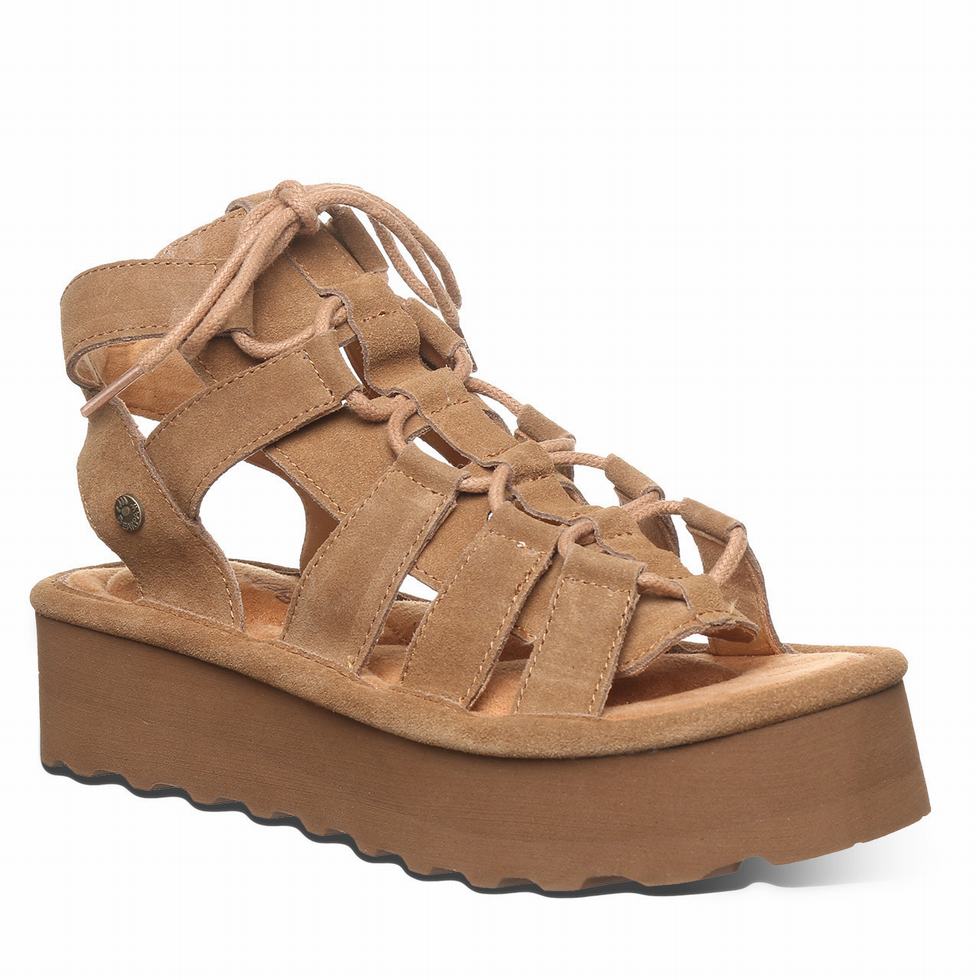 Bearpaw Elevation Sandalen Dames Bruin | LAM584GH