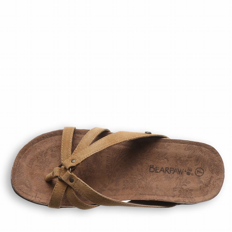 Bearpaw Fawn Sandalen Dames Bruin | KAY8390UL