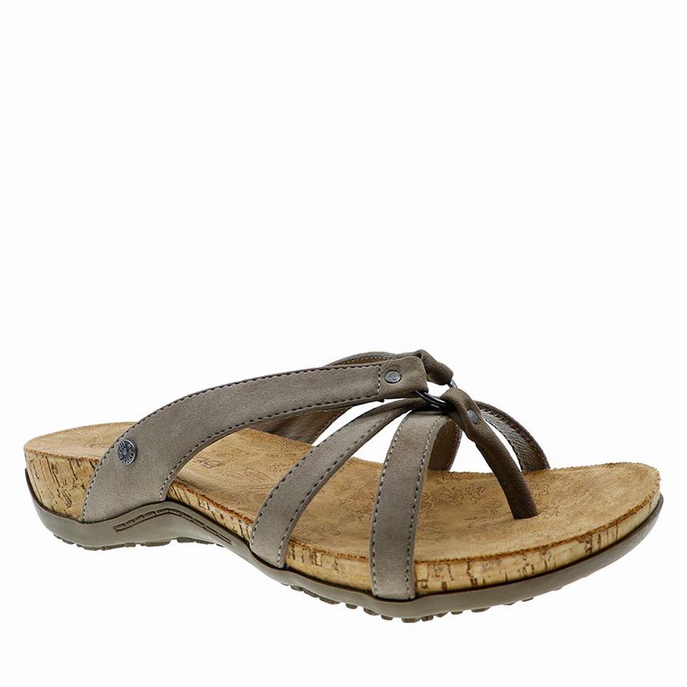 Bearpaw Fawn Sandalen Dames Bruin | ZFG314AW