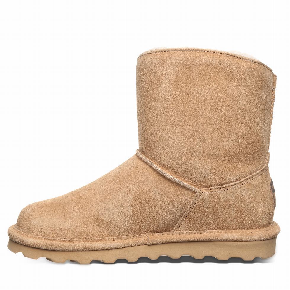 Bearpaw Isabelle Laarzen Dames Bruin | IKF546YJ