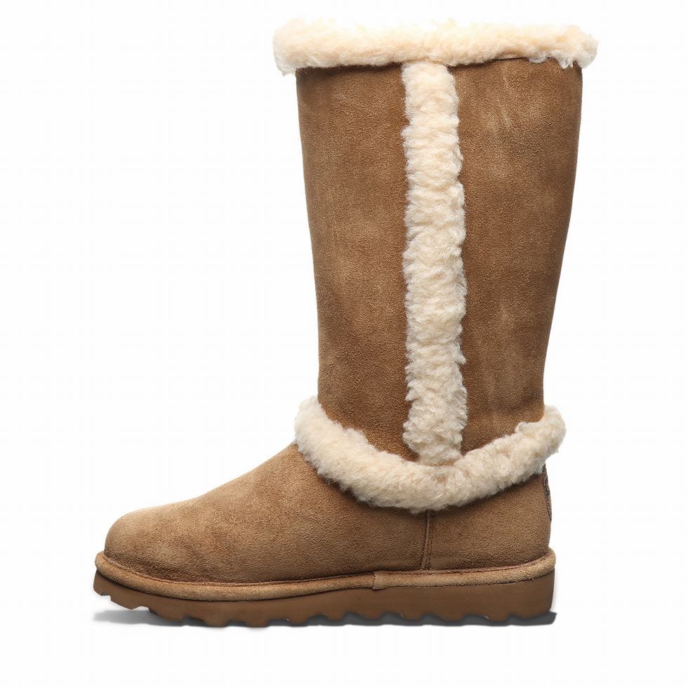 Bearpaw Kendall Laarzen Dames Bruin | SOY1097OK