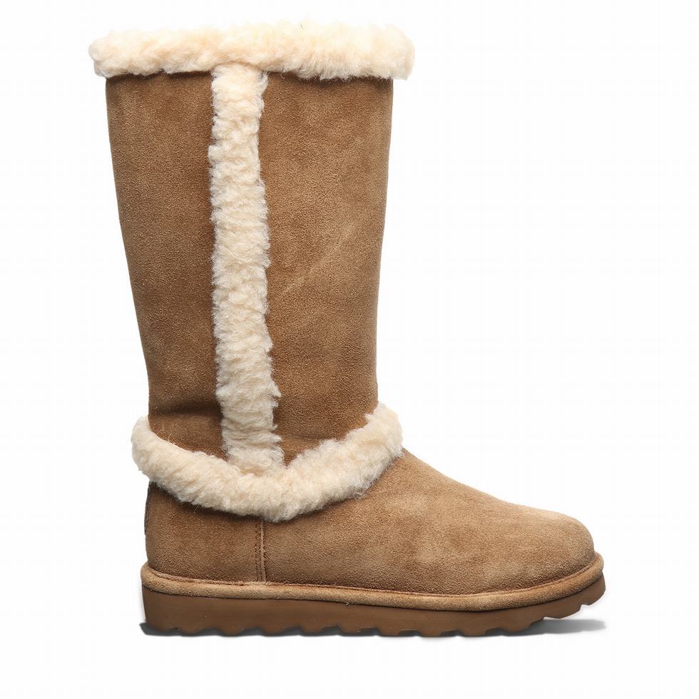 Bearpaw Kendall Laarzen Dames Bruin | SOY1097OK