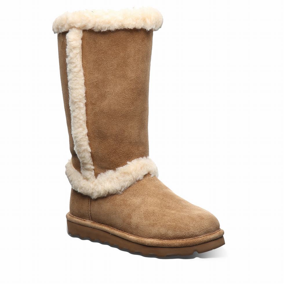 Bearpaw Kendall Laarzen Dames Bruin | SOY1097OK