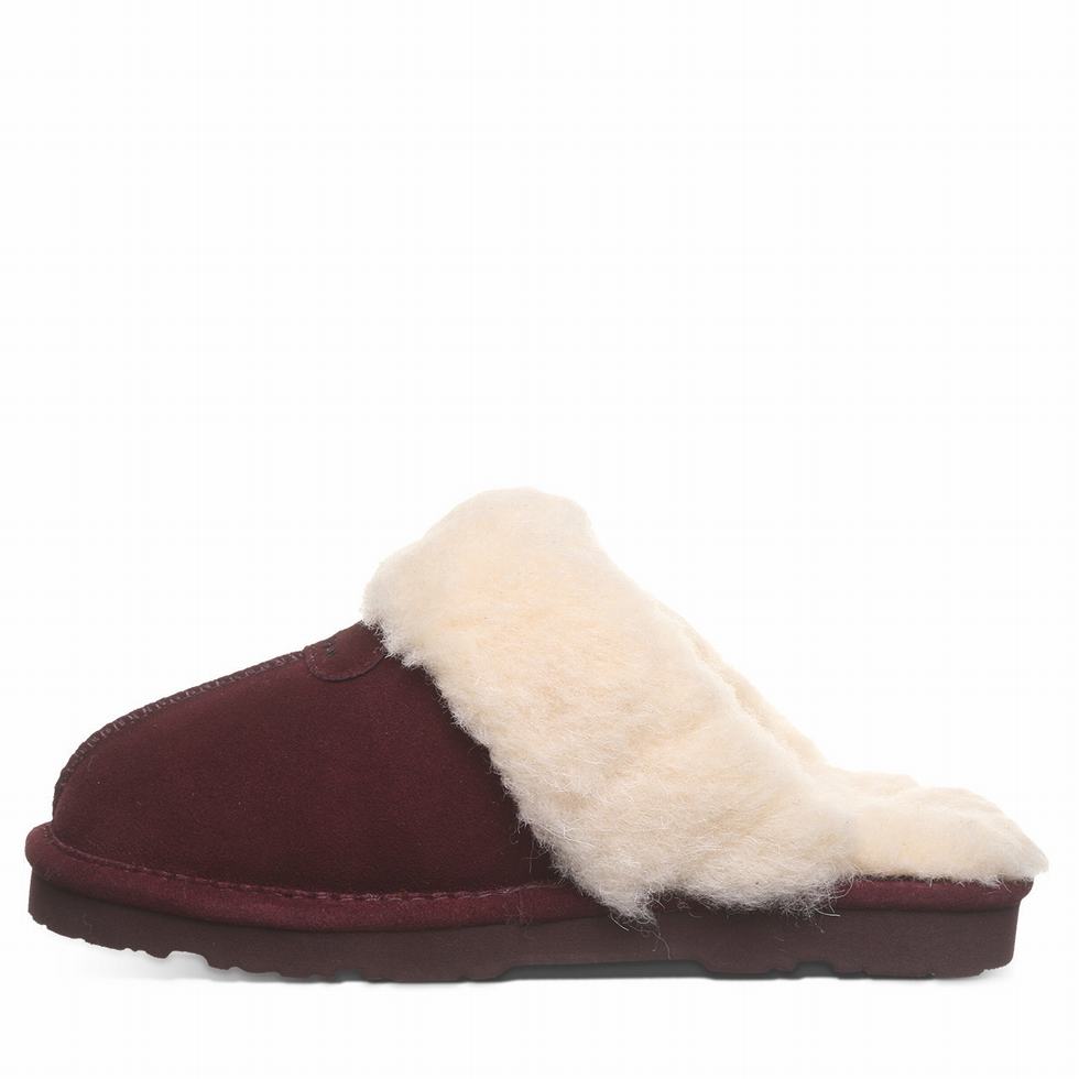 Bearpaw Loki II Pantoffels Dames Paars | JKF2085VL