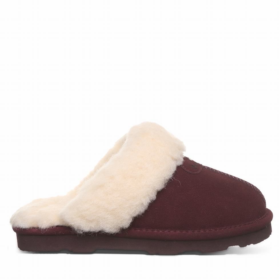 Bearpaw Loki II Pantoffels Dames Paars | JKF2085VL