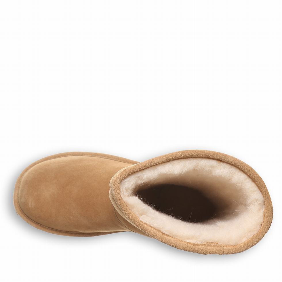 Bearpaw Lydia II Laarzen Dames Bruin | LMF5752UP