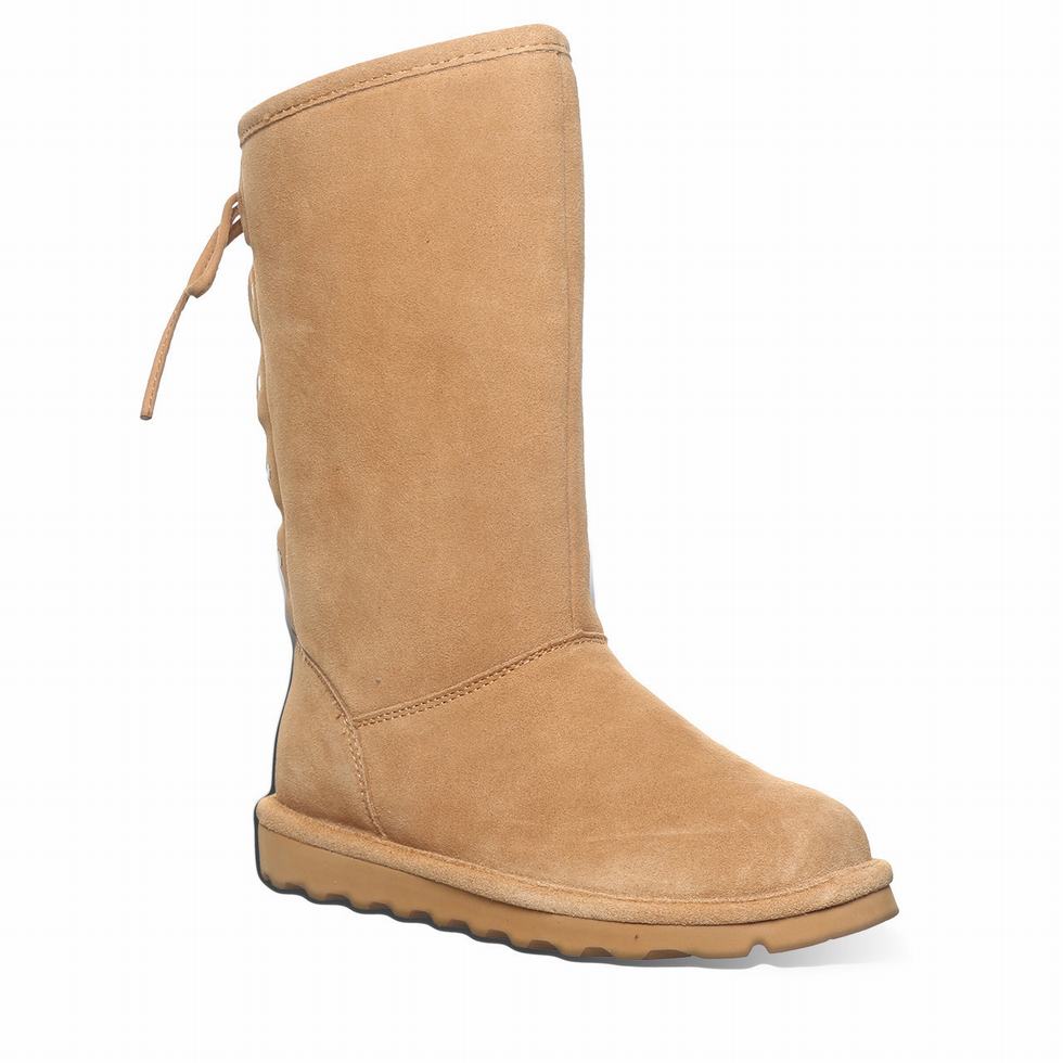 Bearpaw Lydia II Laarzen Dames Bruin | LMF5752UP