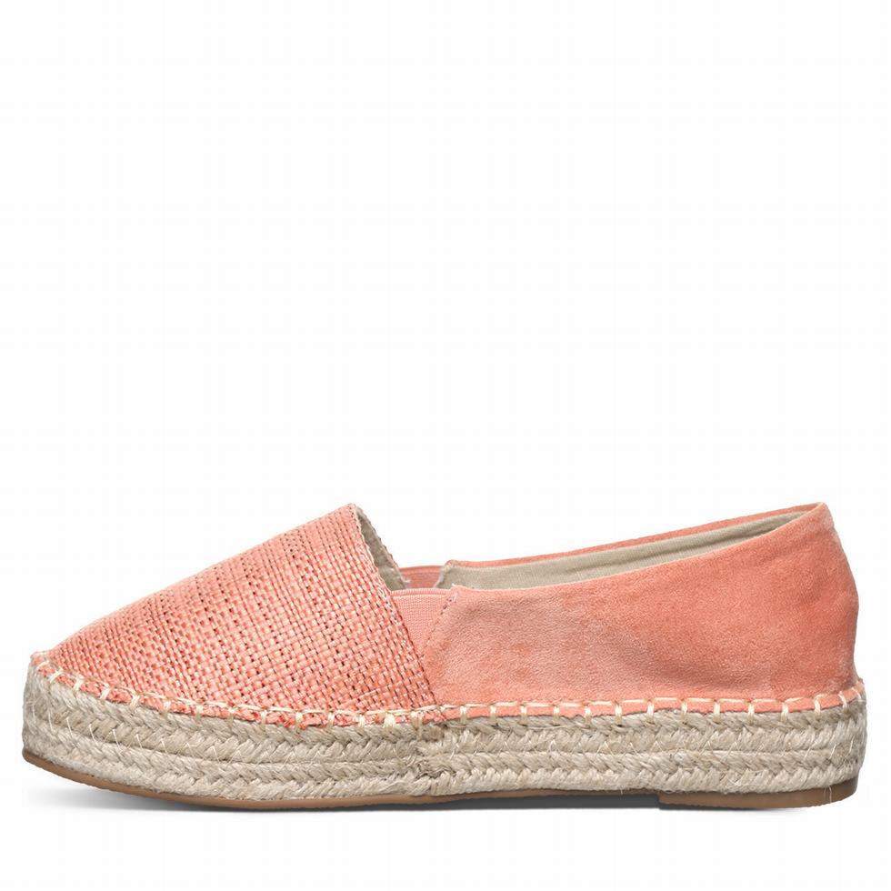 Bearpaw Macchiato Espadrilles Dames Roze | HHD9640HN