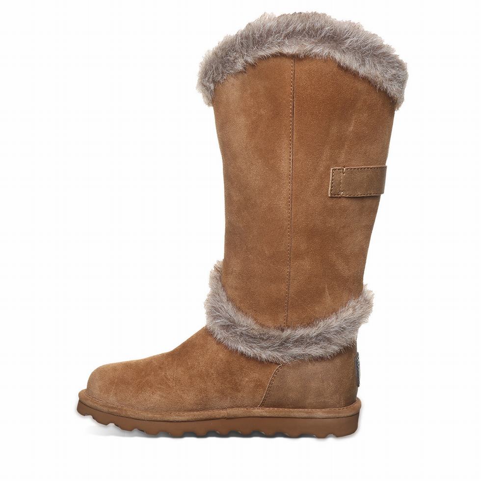 Bearpaw Sheilah Laarzen Dames Bruin | AVZ2153AY