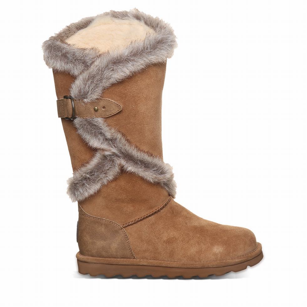 Bearpaw Sheilah Laarzen Dames Bruin | AVZ2153AY