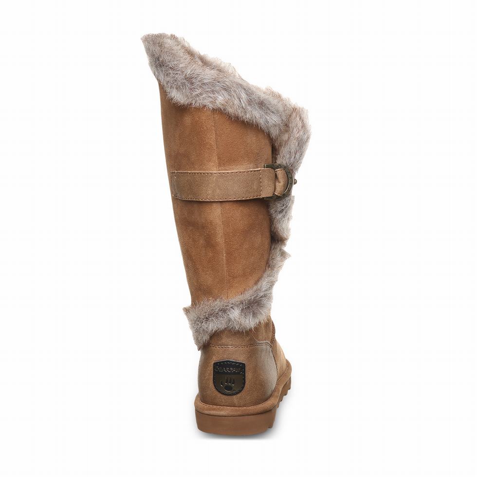 Bearpaw Sheilah Laarzen Dames Bruin | AVZ2153AY