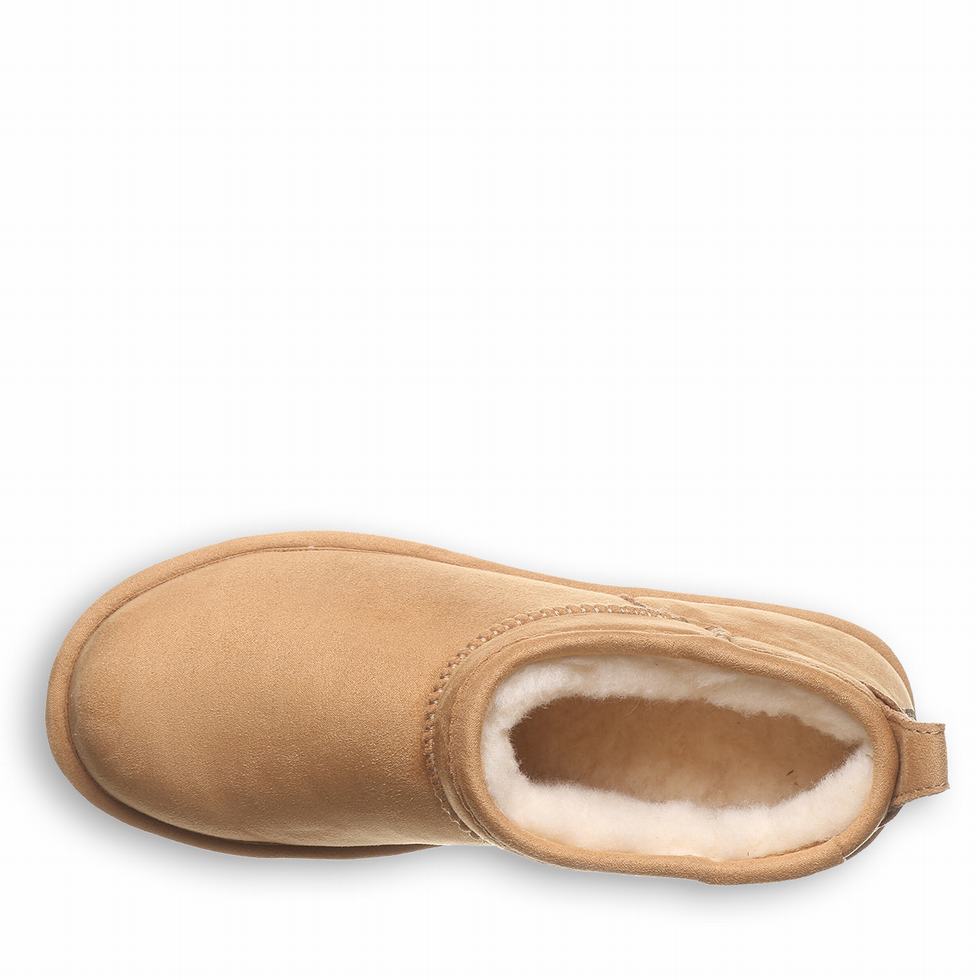 Bearpaw Shorty Vegan Laarzen Dames Bruin | TYW3933WL