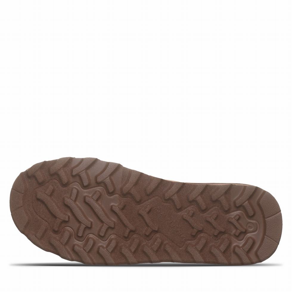 Bearpaw Super Shorty Vegan Laarzen Dames Bruin | RPA7538TP