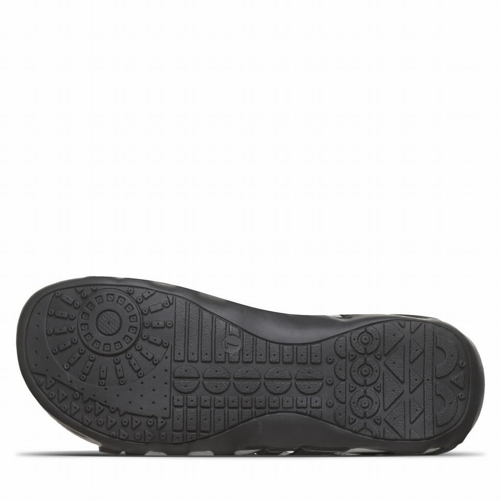 Bearpaw Zinnia Sandalen Dames Zwart | DFN1009OV